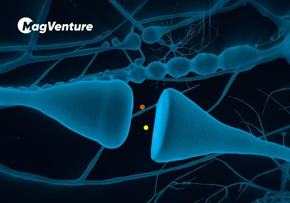 Accelerator Training Program Cover