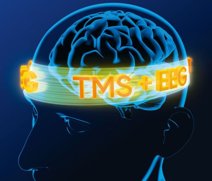 TMS + EEG